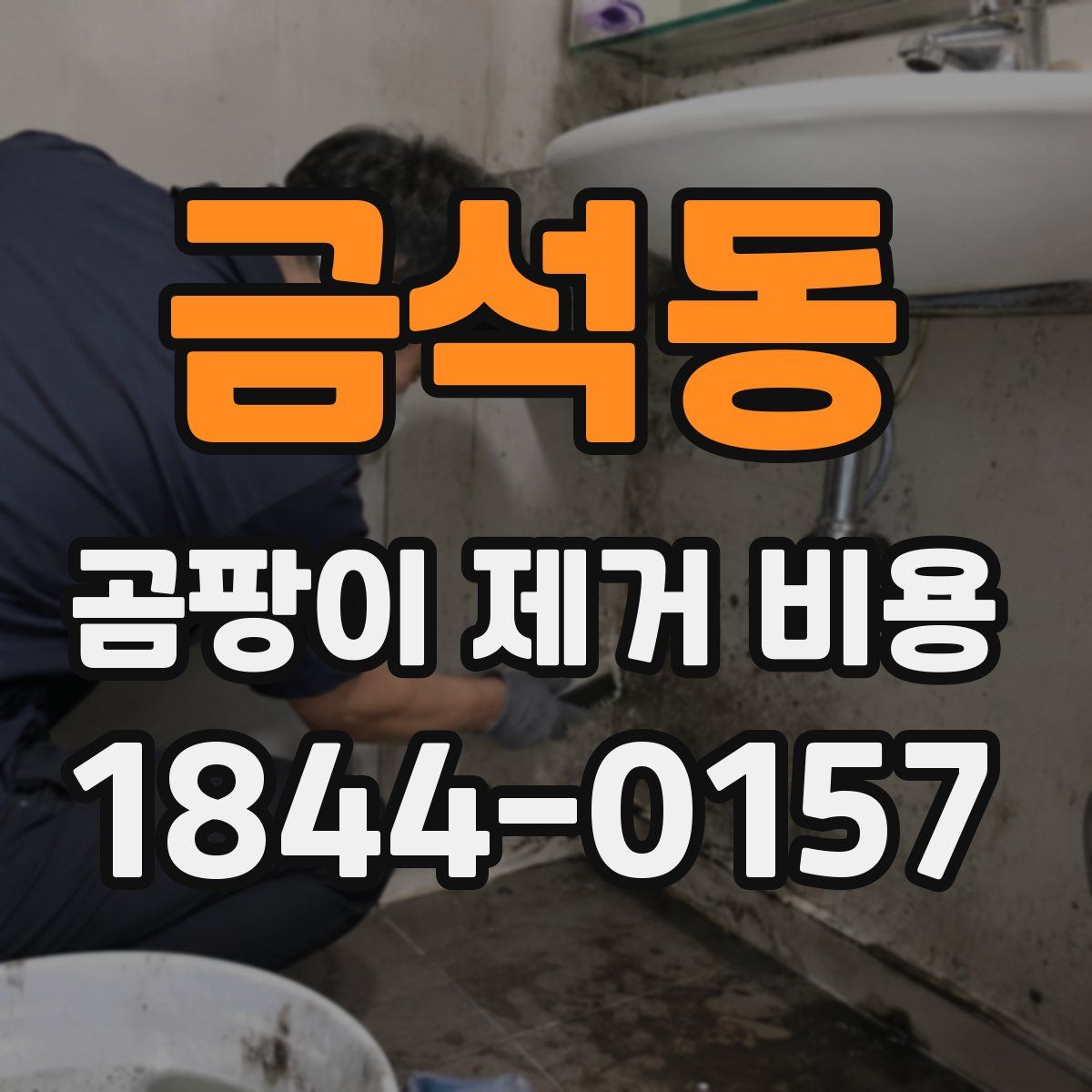금석동 곰팡이 제거 비용