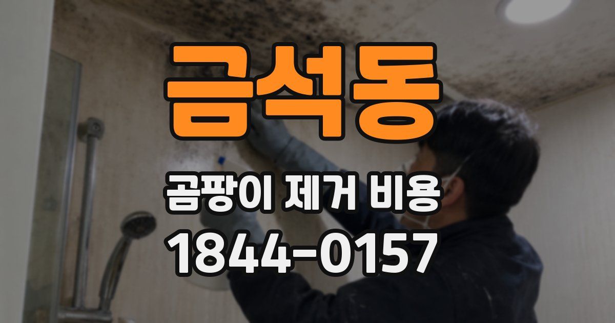 금석동 곰팡이 제거 비용