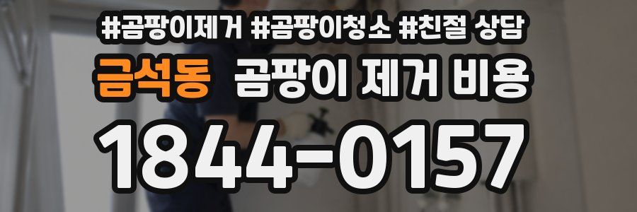 금석동 곰팡이 제거 비용