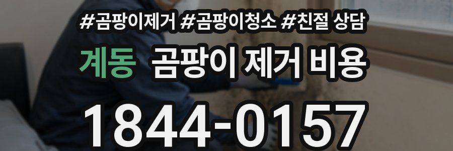 계동 곰팡이 제거 비용