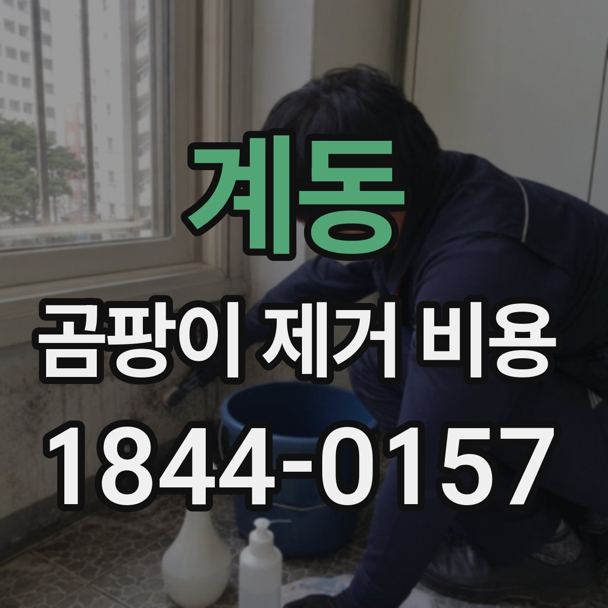 계동 곰팡이 제거 비용