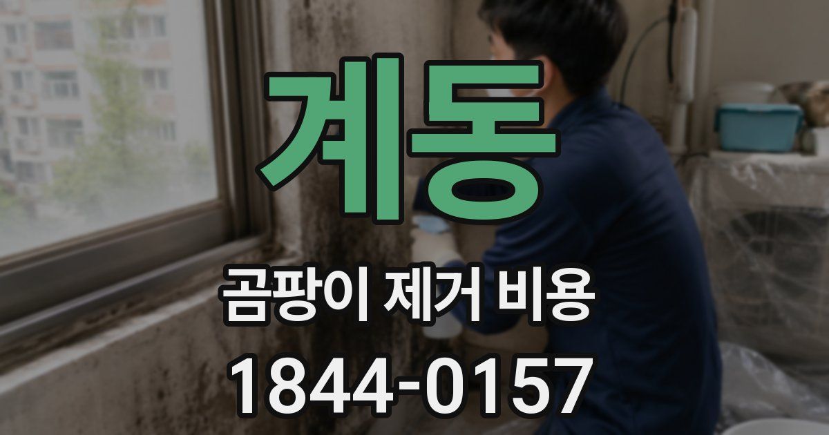 계동 곰팡이 제거 비용