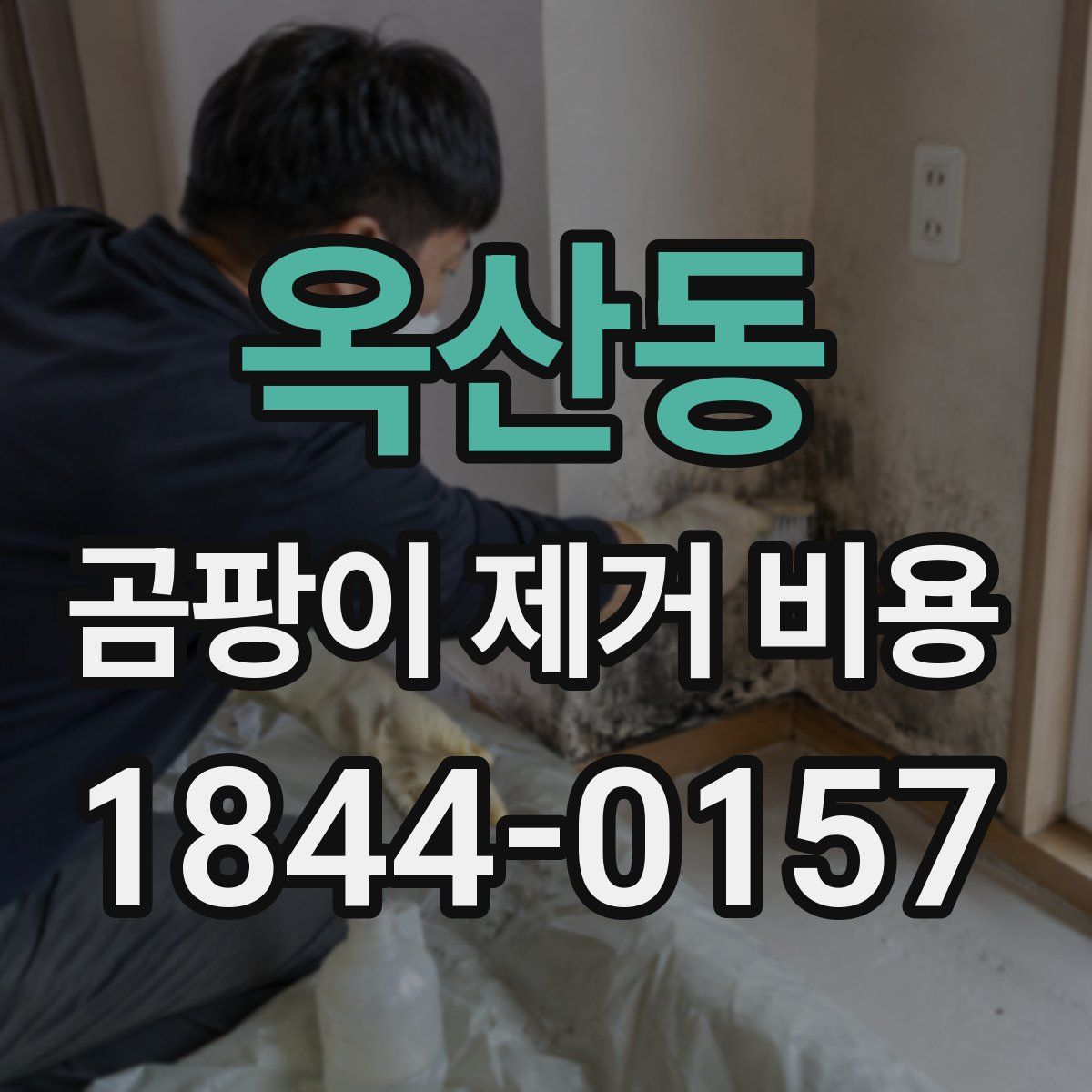 옥산동 곰팡이 제거 비용