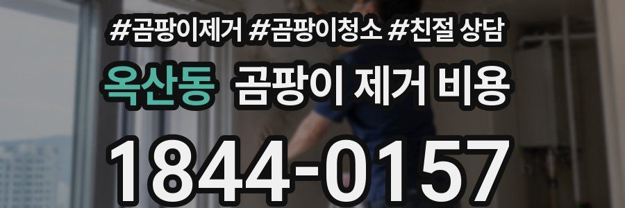 옥산동 곰팡이 제거 비용
