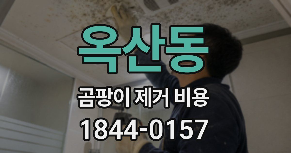 옥산동 곰팡이 제거 비용