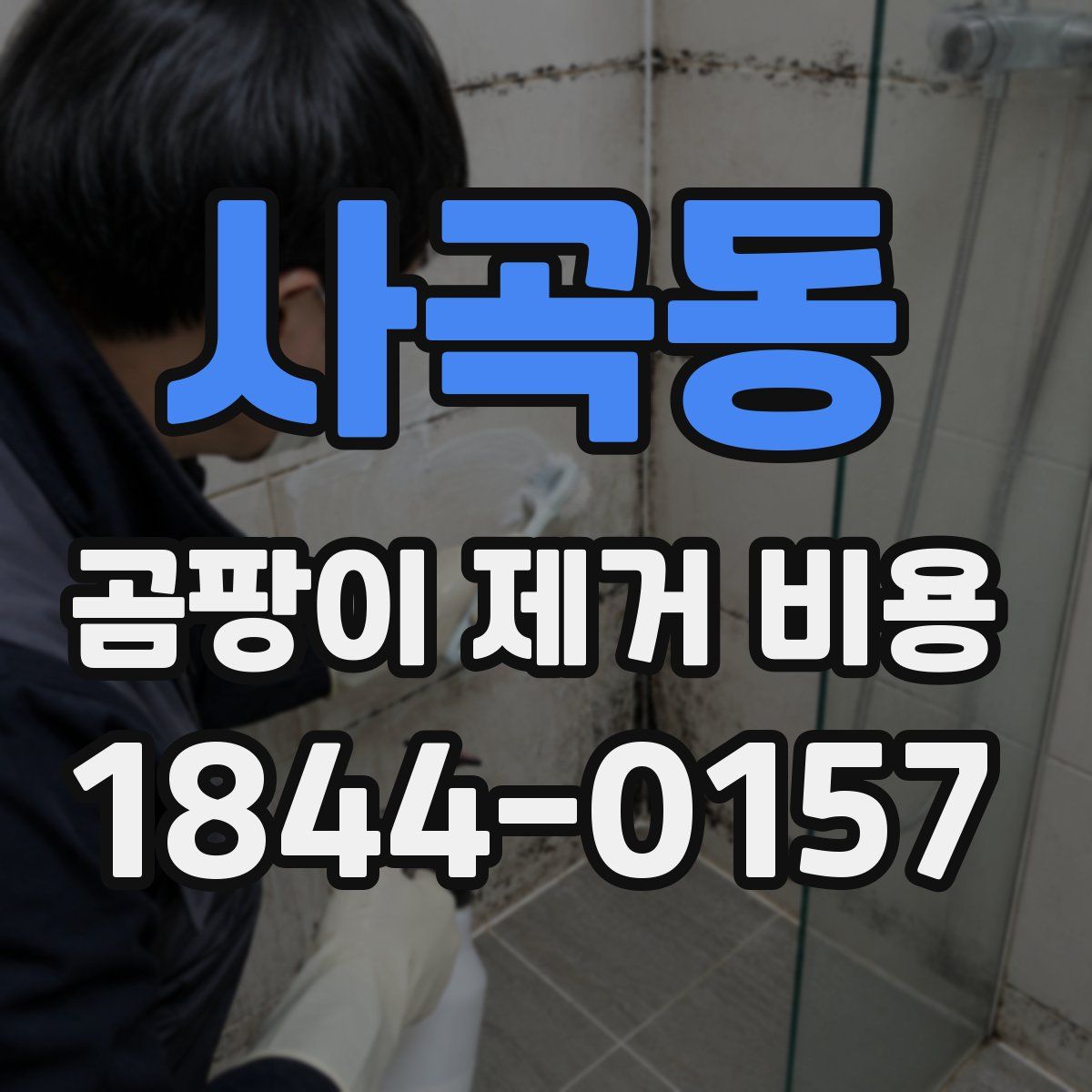 사곡동 곰팡이 제거 비용