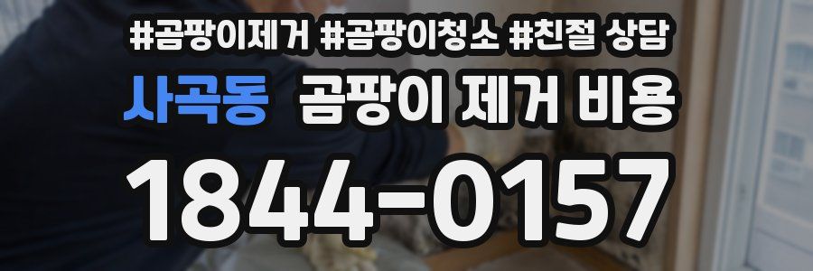 사곡동 곰팡이 제거 비용