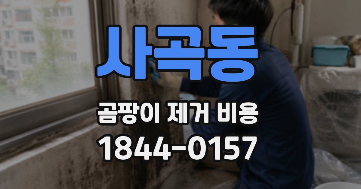사곡동 곰팡이 제거 비용
