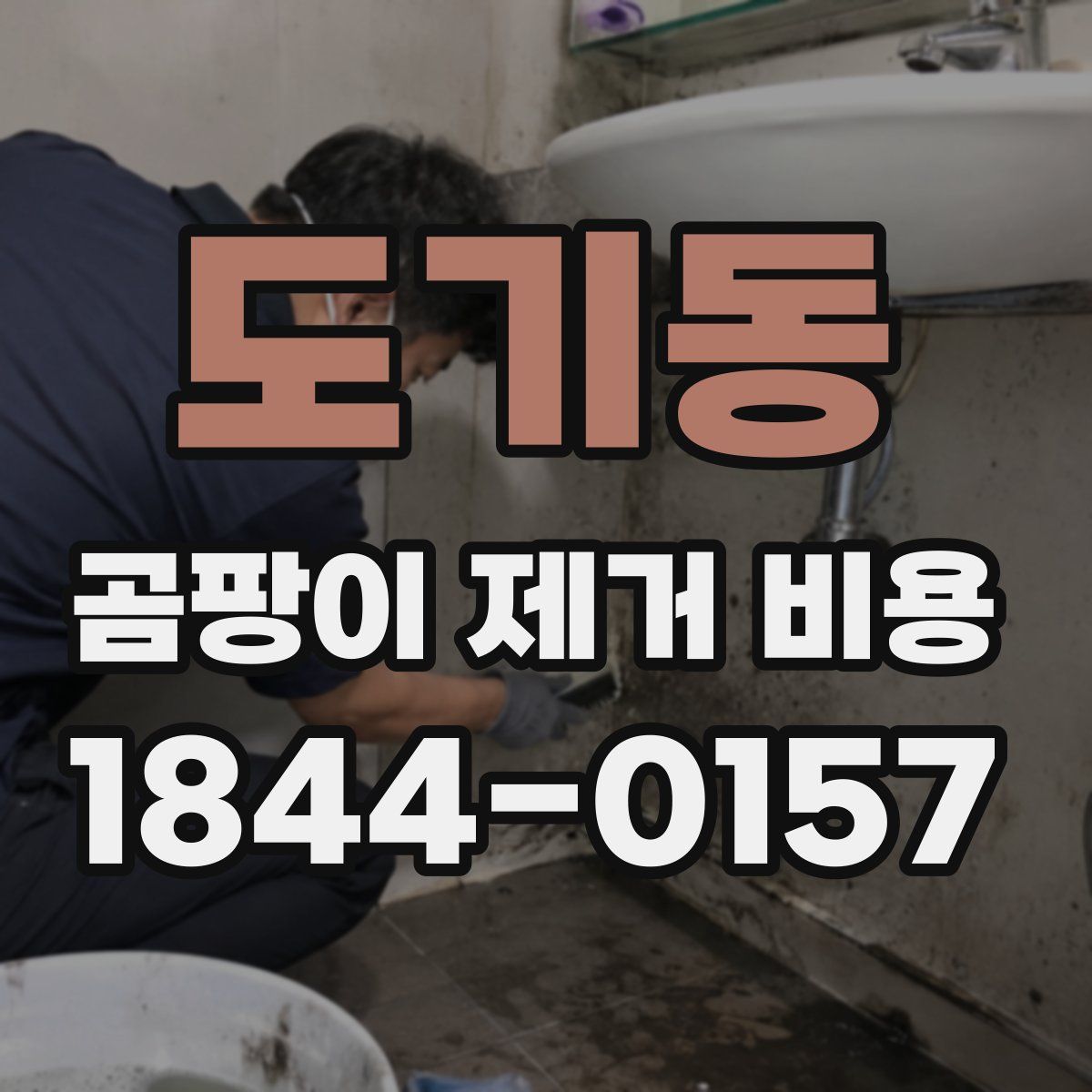도기동 곰팡이 제거 비용