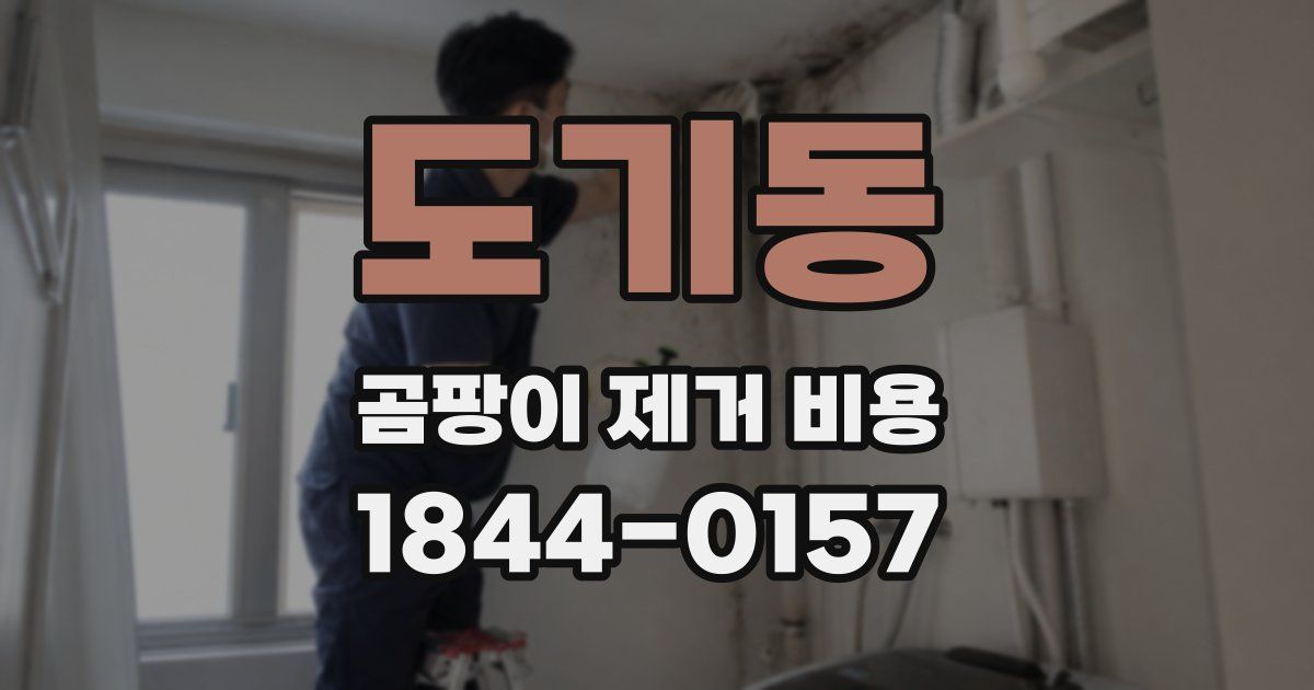 도기동 곰팡이 제거 비용