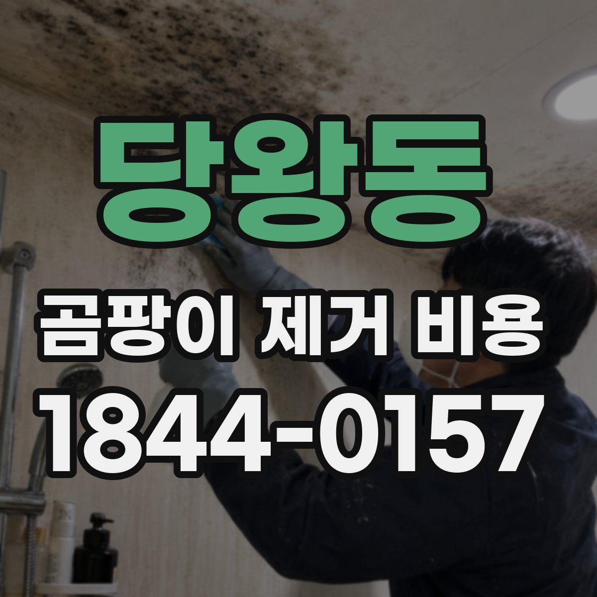 당왕동 곰팡이 제거 비용