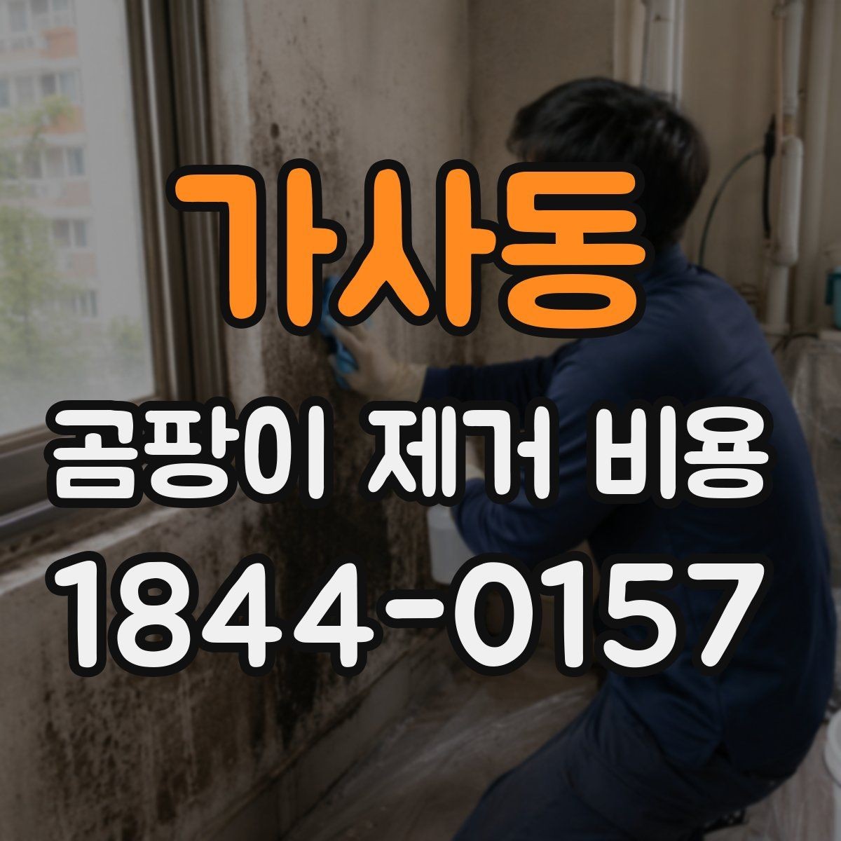 가사동 곰팡이 제거 비용 급하게 진행하기 전에 점검할 것