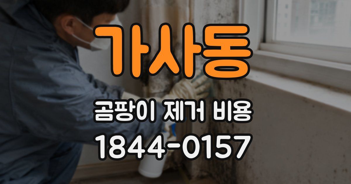 가사동 곰팡이 제거 비용