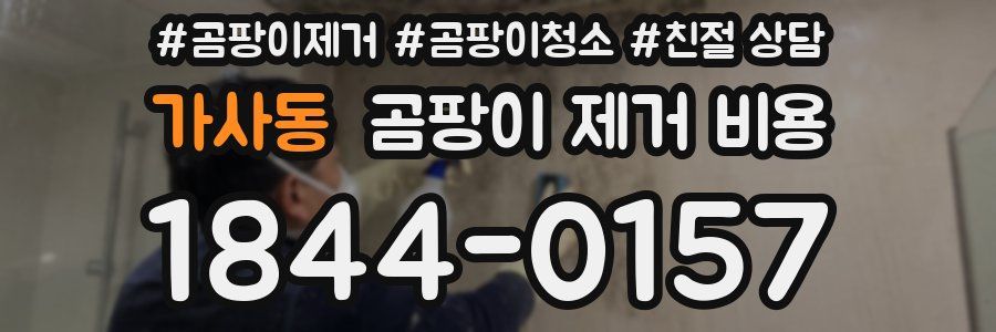 가사동 곰팡이 제거 비용