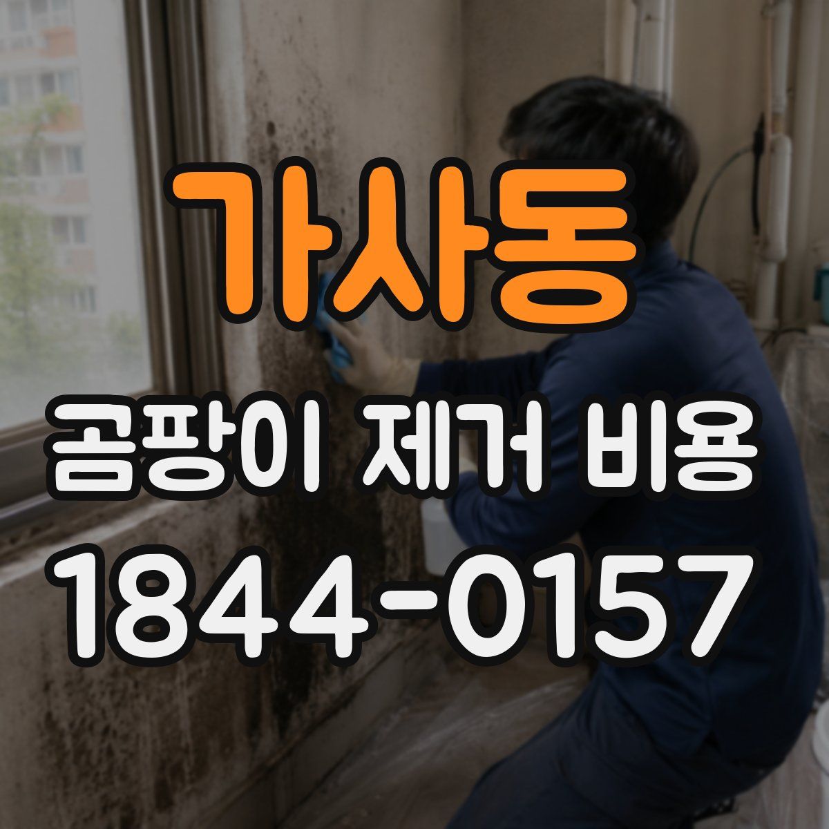 가사동 곰팡이 제거 비용