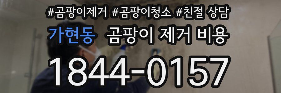 가현동 곰팡이 제거 비용