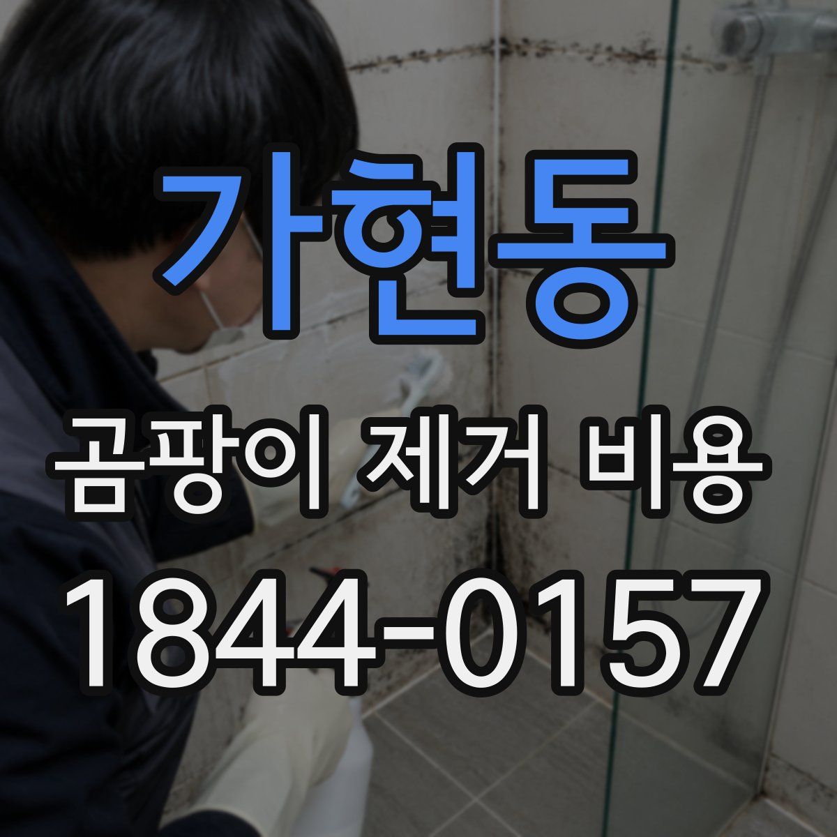 가현동 곰팡이 제거 비용