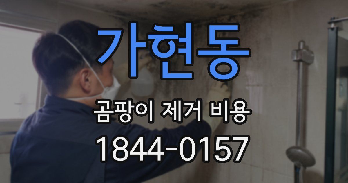 가현동 곰팡이 제거 비용