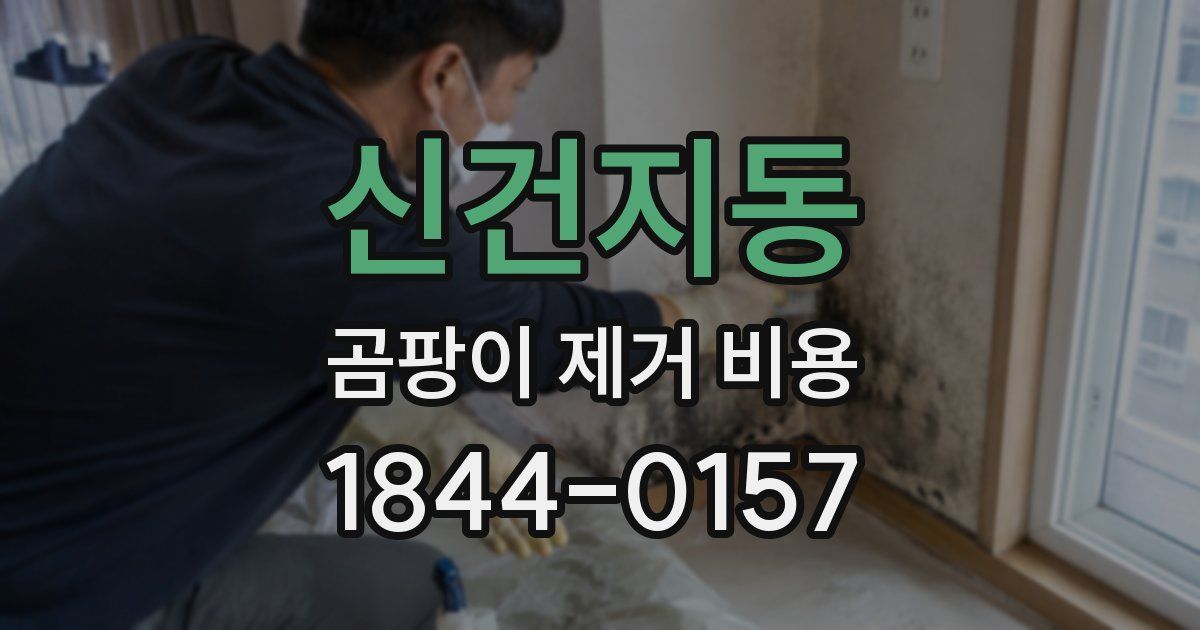 신건지동 곰팡이 제거 비용