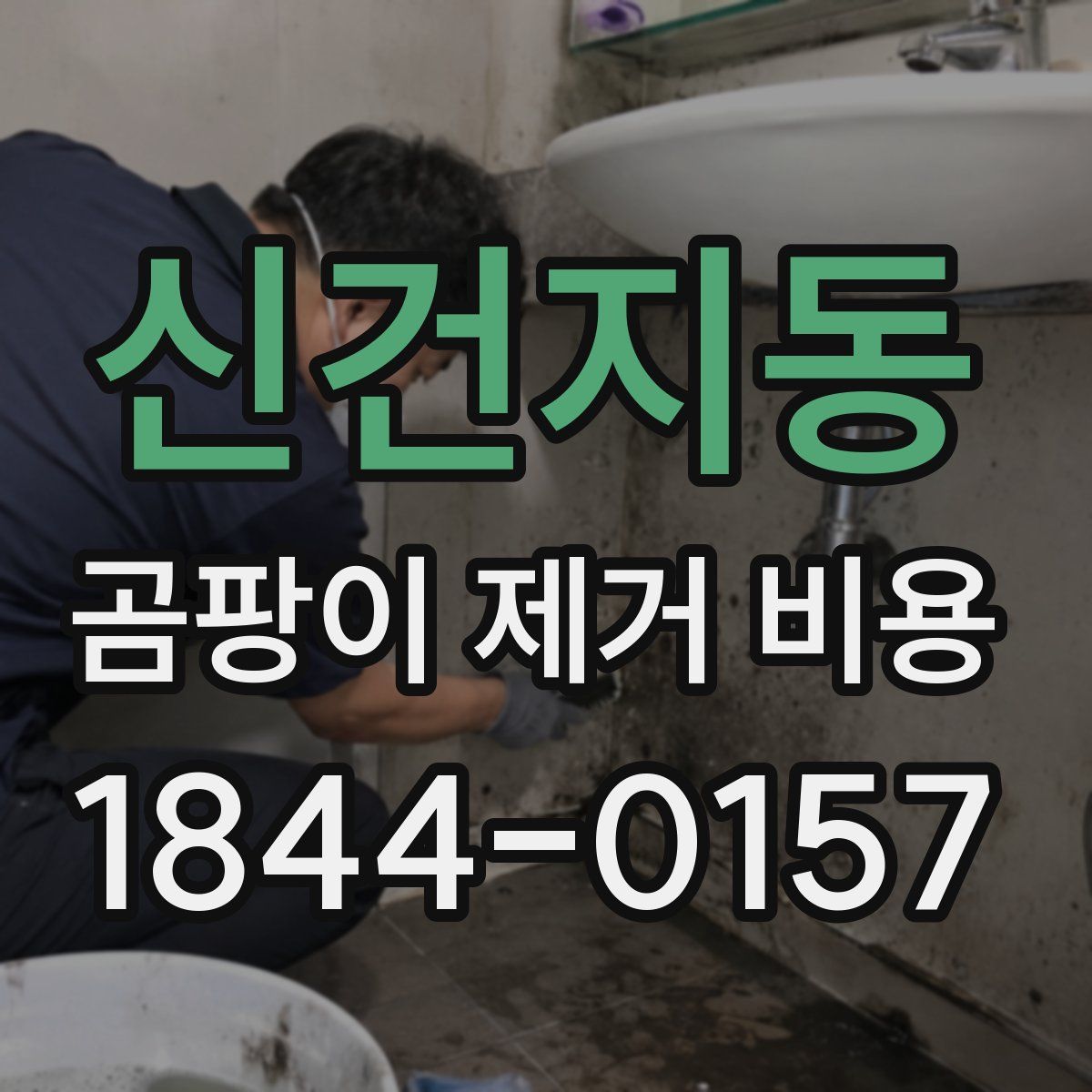 신건지동 곰팡이 제거 비용