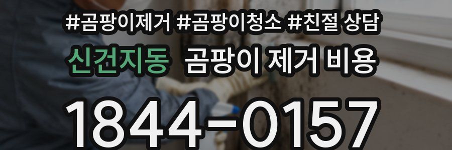 신건지동 곰팡이 제거 비용