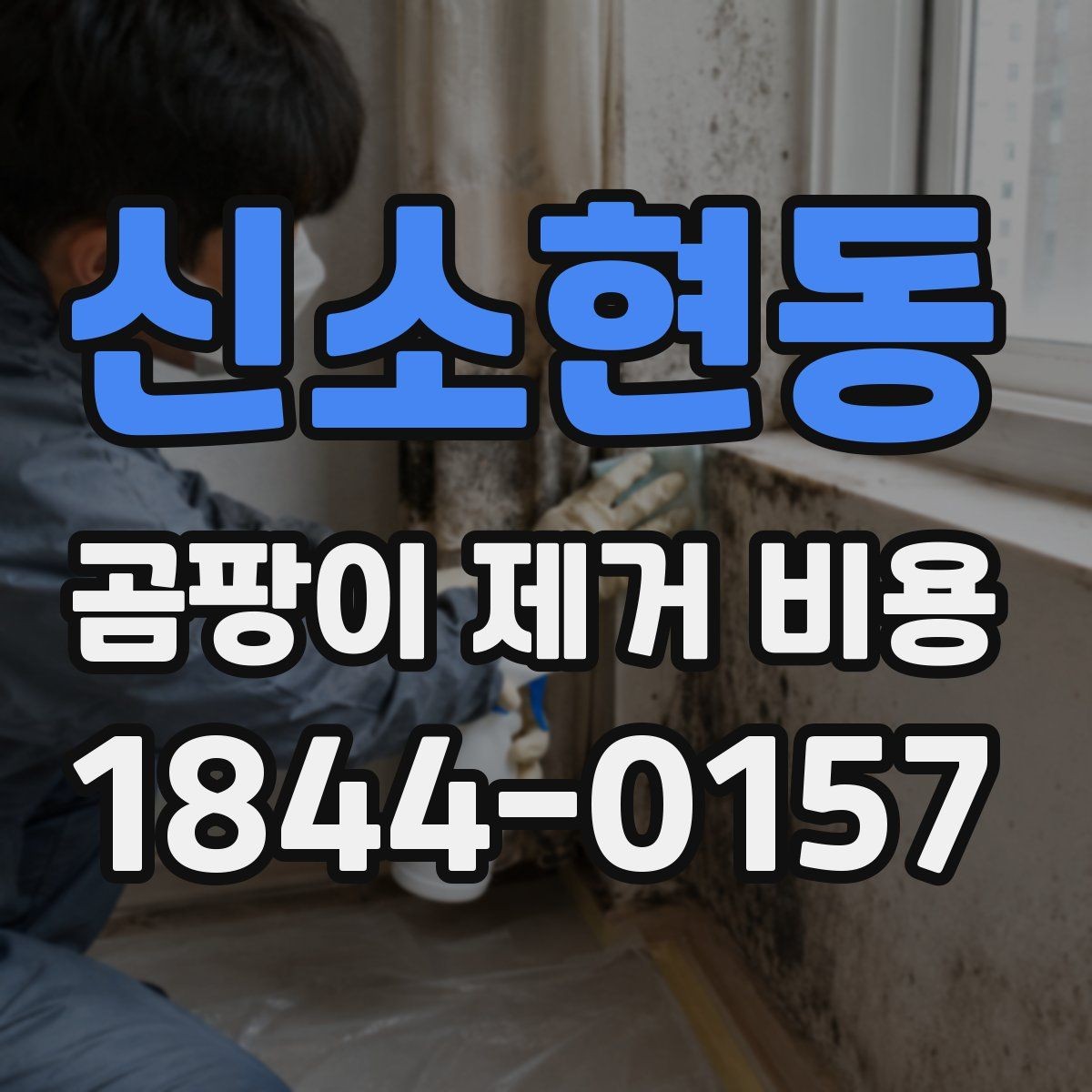 신소현동 곰팡이 제거 비용 예상보다 달라지는 이유