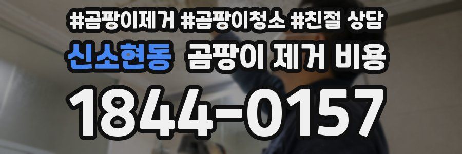 신소현동 곰팡이 제거 비용