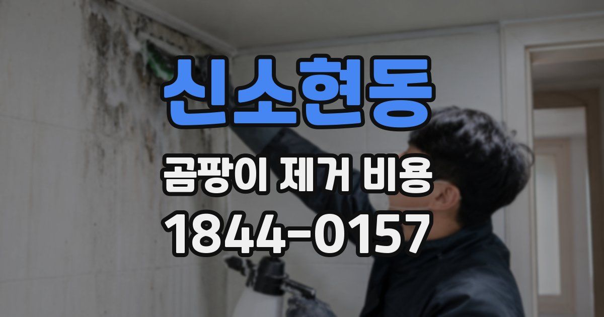 신소현동 곰팡이 제거 비용