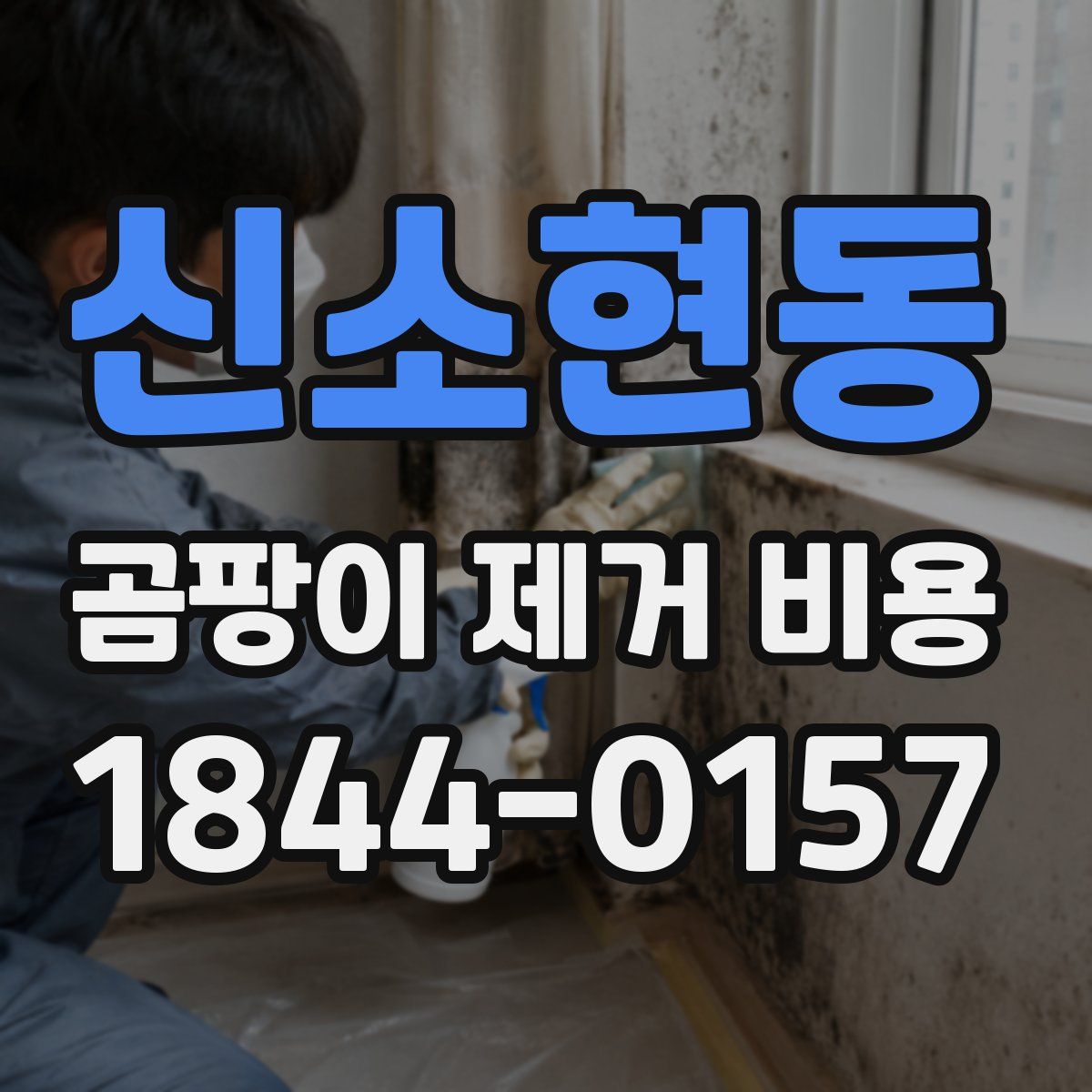 신소현동 곰팡이 제거 비용