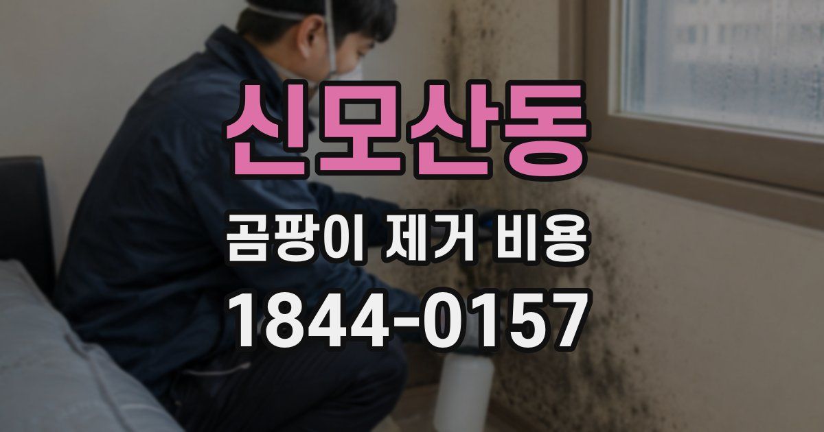 신모산동 곰팡이 제거 비용