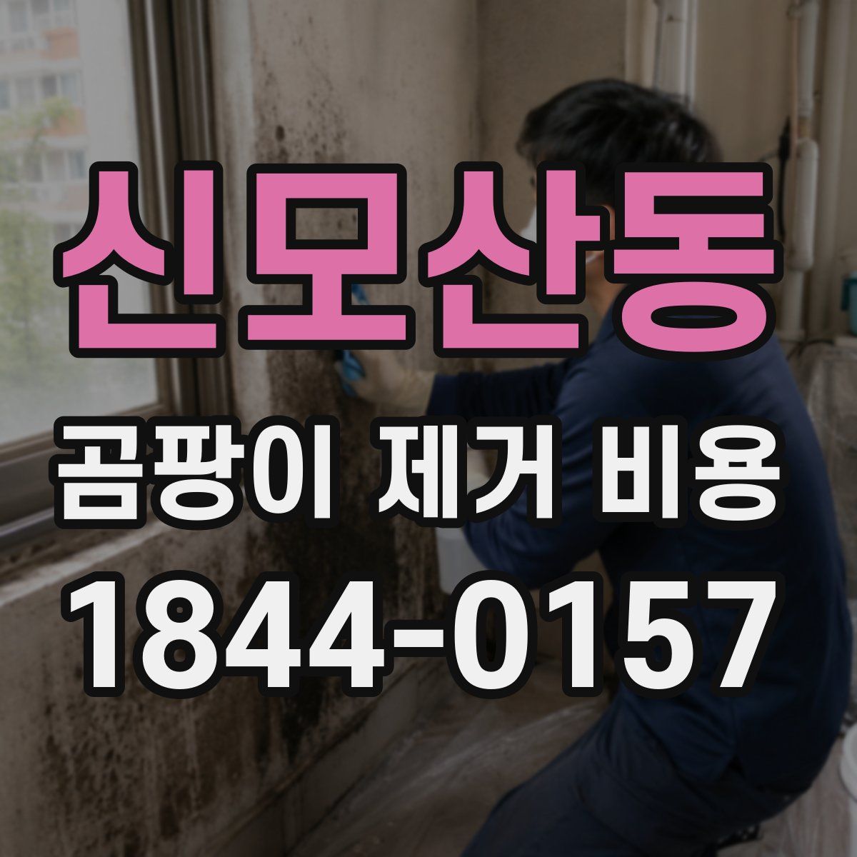 신모산동 곰팡이 제거 비용
