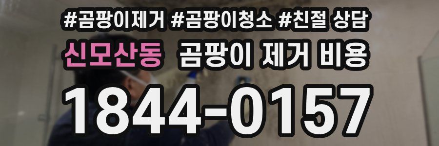 신모산동 곰팡이 제거 비용