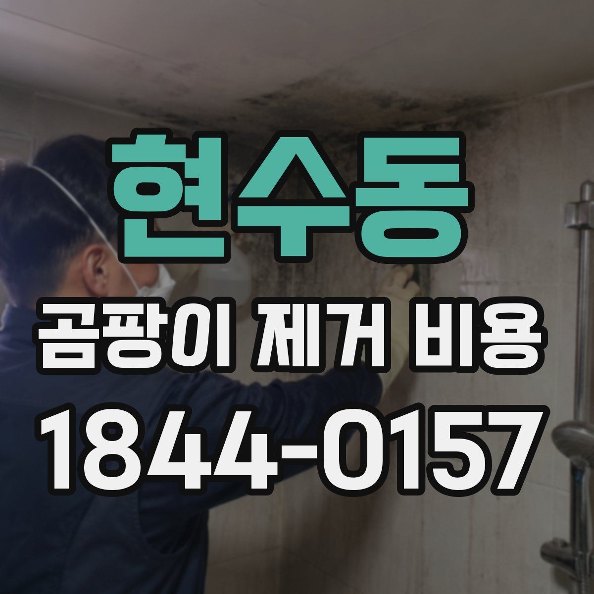 현수동 곰팡이 제거 비용