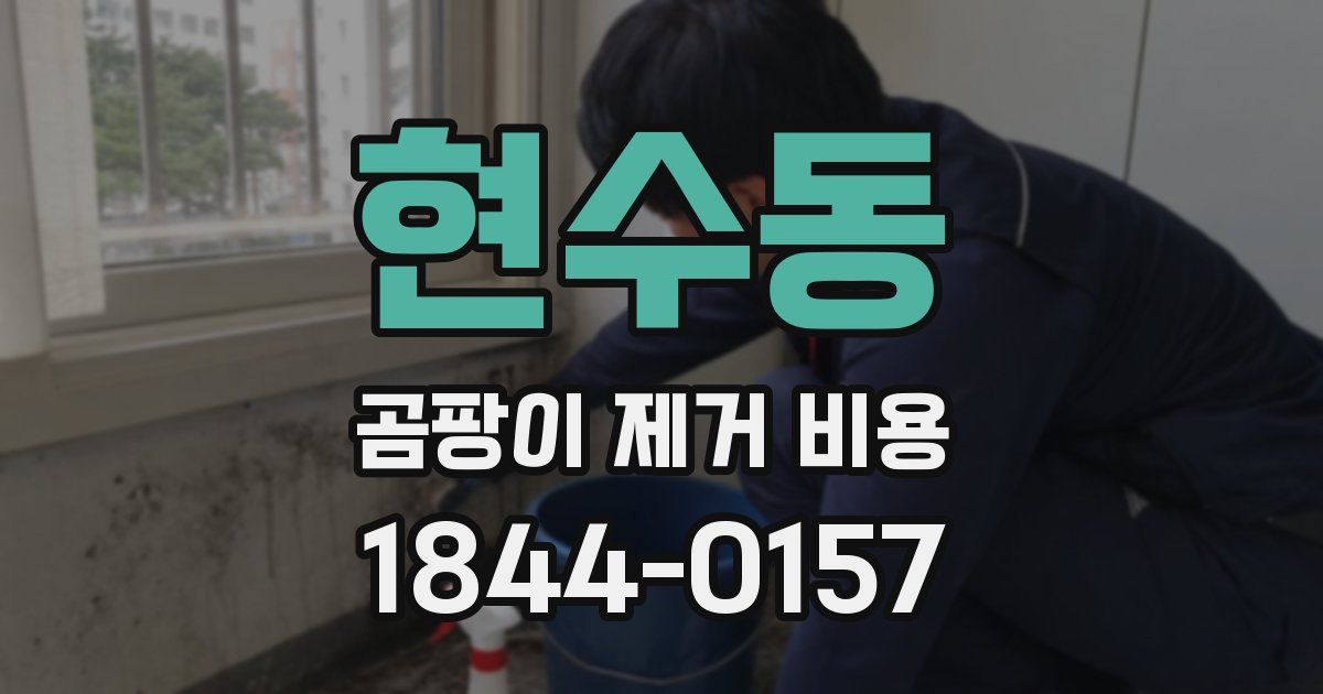 현수동 곰팡이 제거 비용