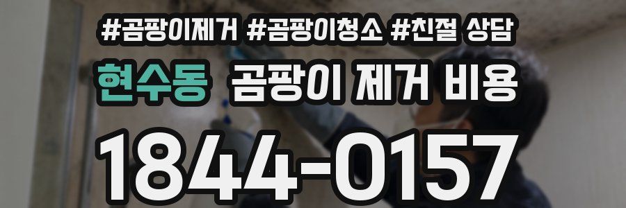 현수동 곰팡이 제거 비용