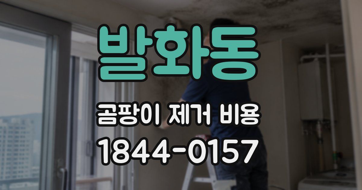 발화동 곰팡이 제거 비용