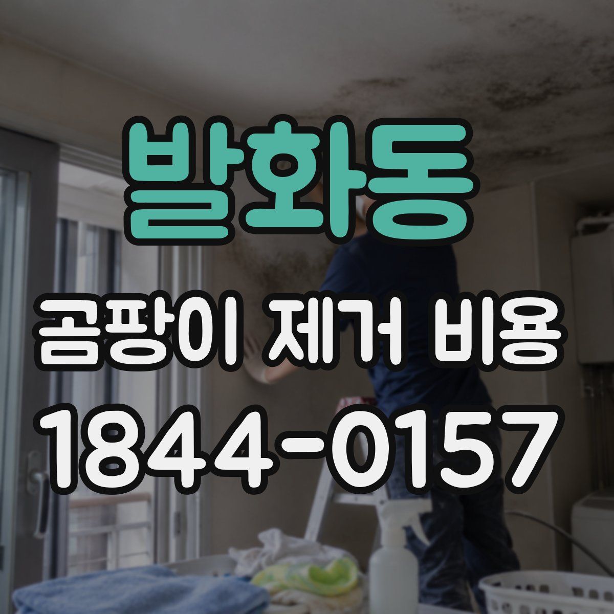 발화동 곰팡이 제거 비용