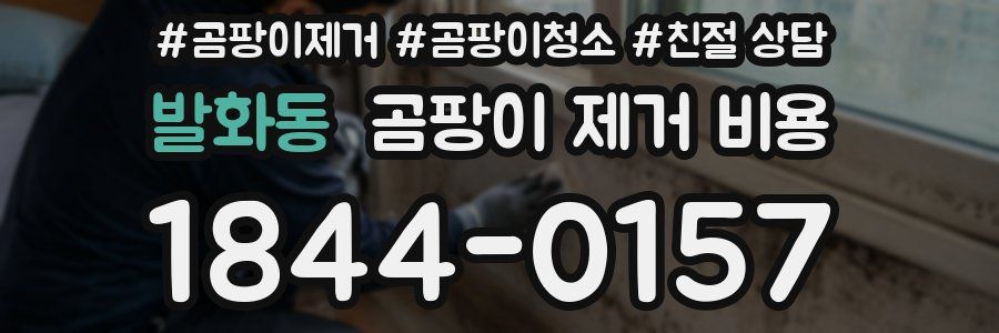발화동 곰팡이 제거 비용