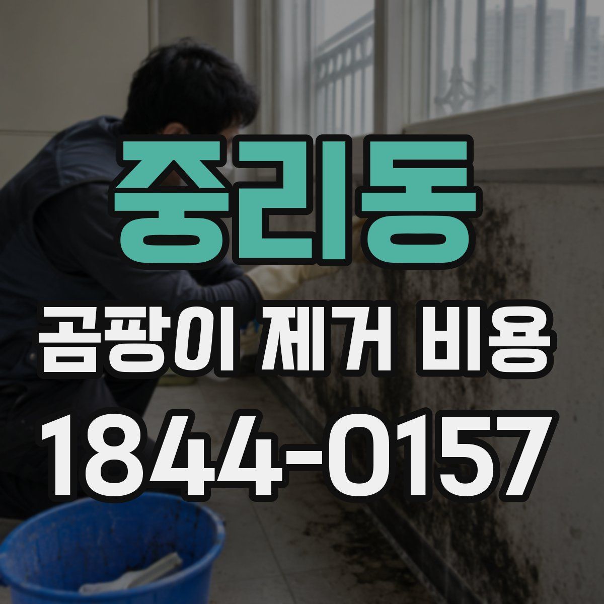 중리동 곰팡이 제거 비용