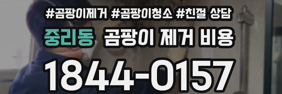 중리동 곰팡이 제거 비용