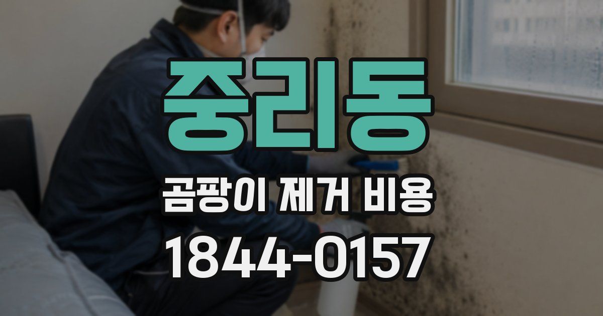 중리동 곰팡이 제거 비용