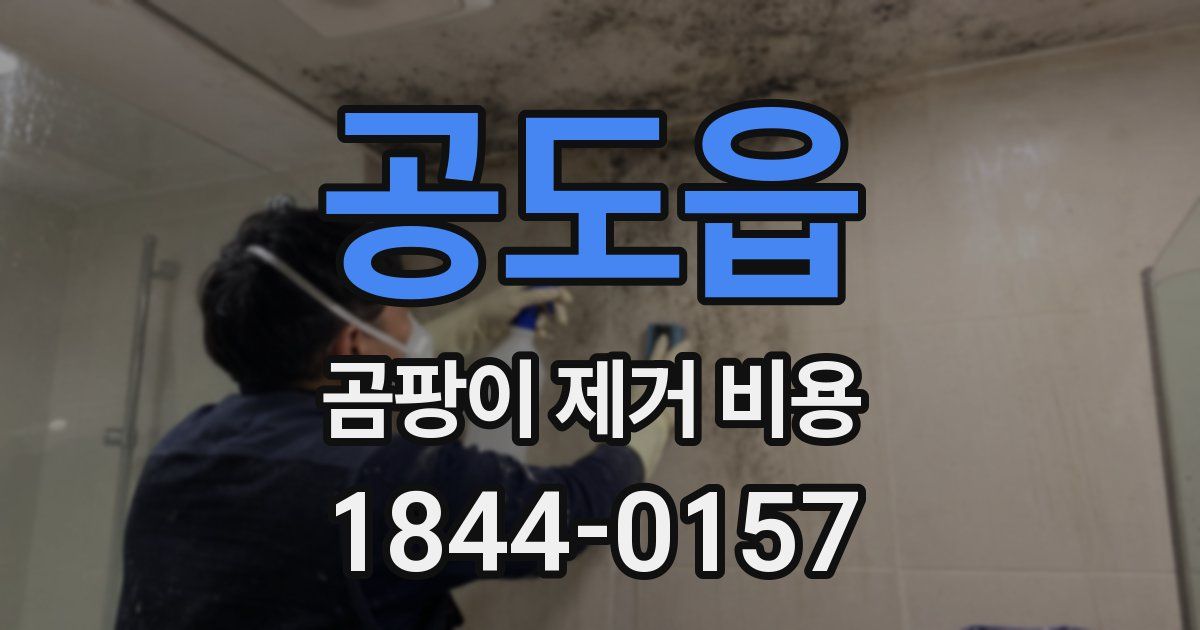 공도읍 곰팡이 제거 비용