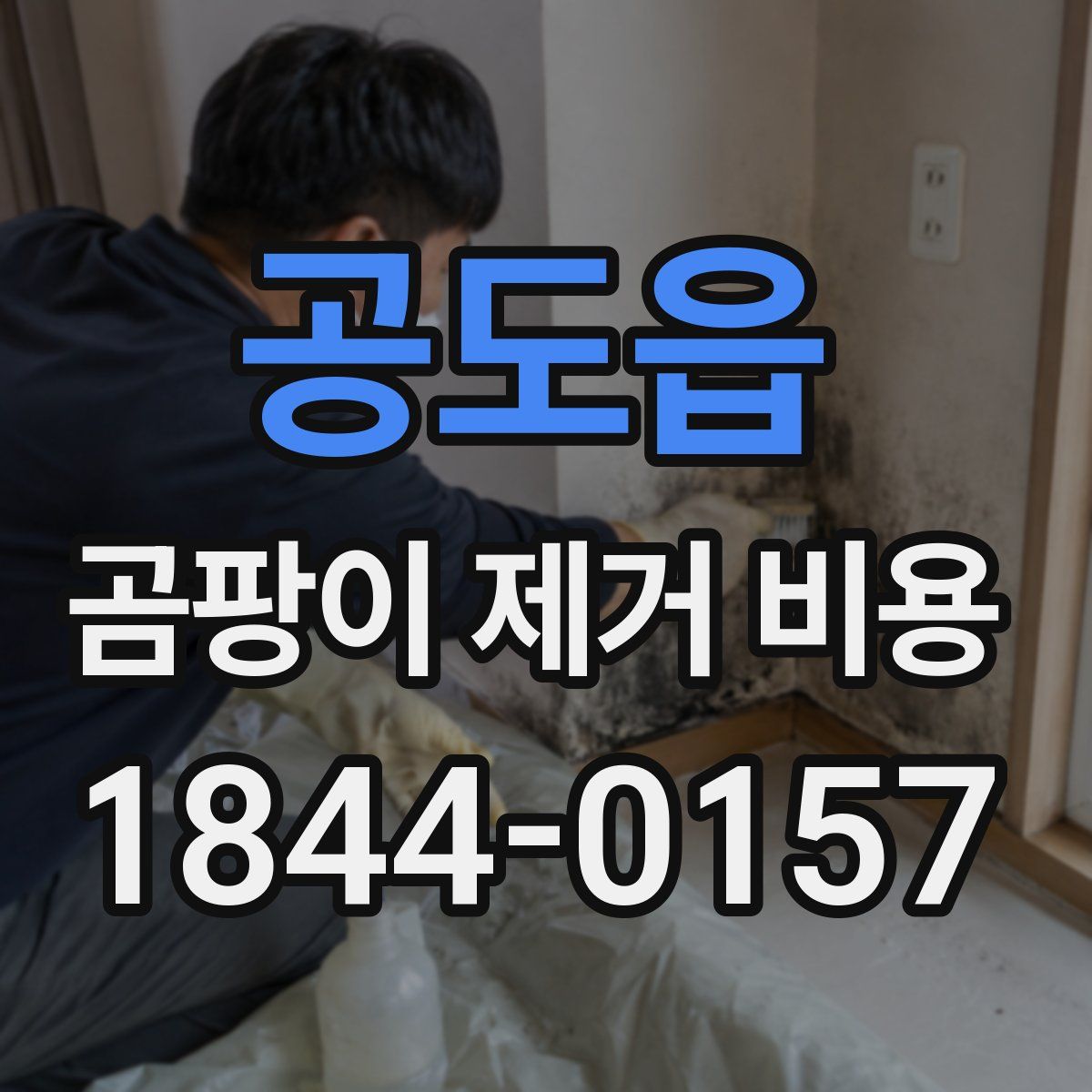 공도읍 곰팡이 제거 비용