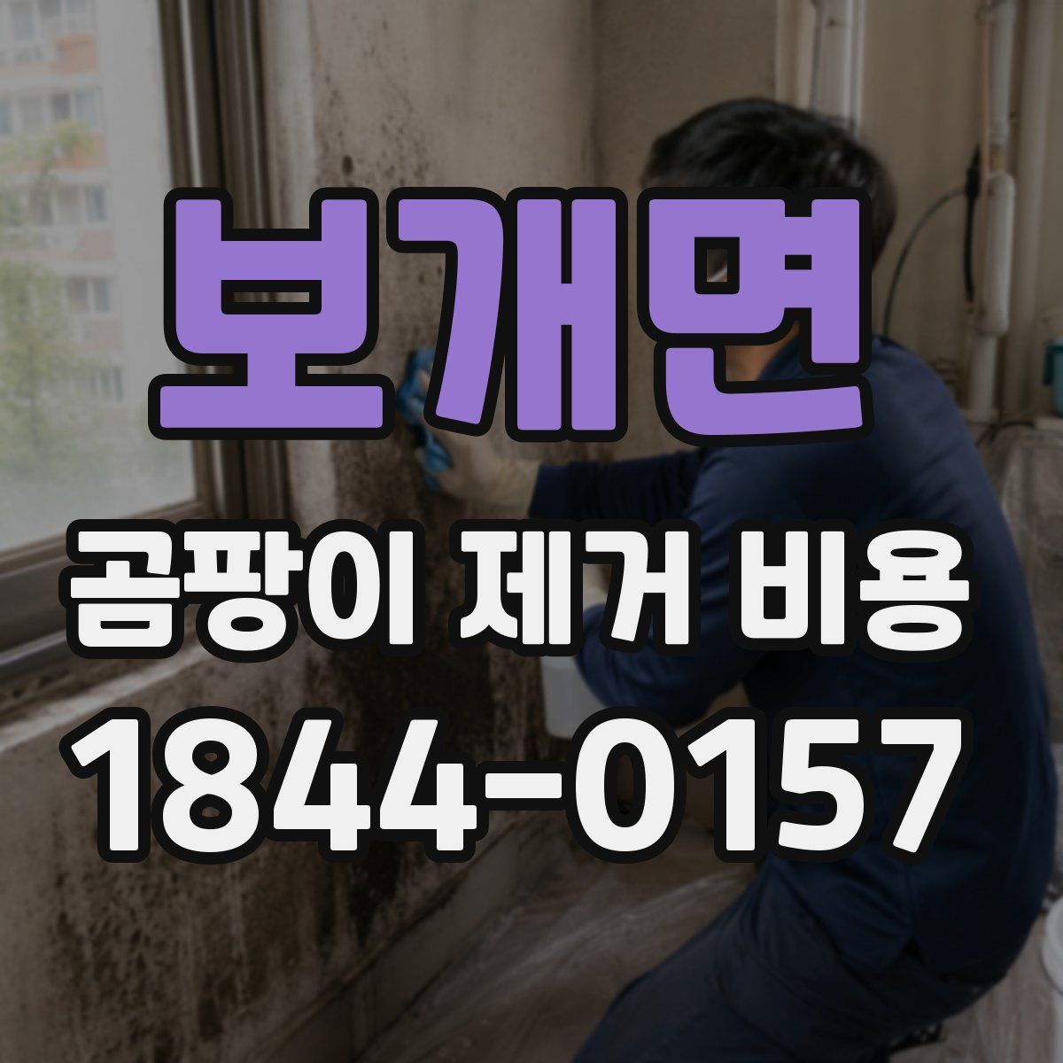 보개면 곰팡이 제거 비용