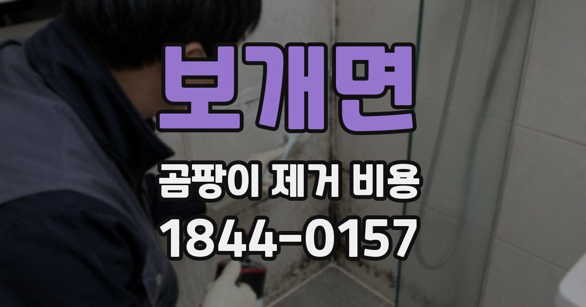 보개면 곰팡이 제거 비용