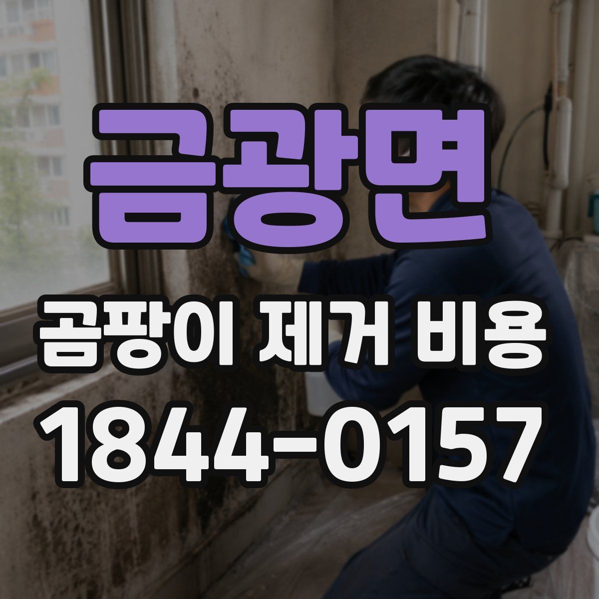 금광면 곰팡이 제거 비용