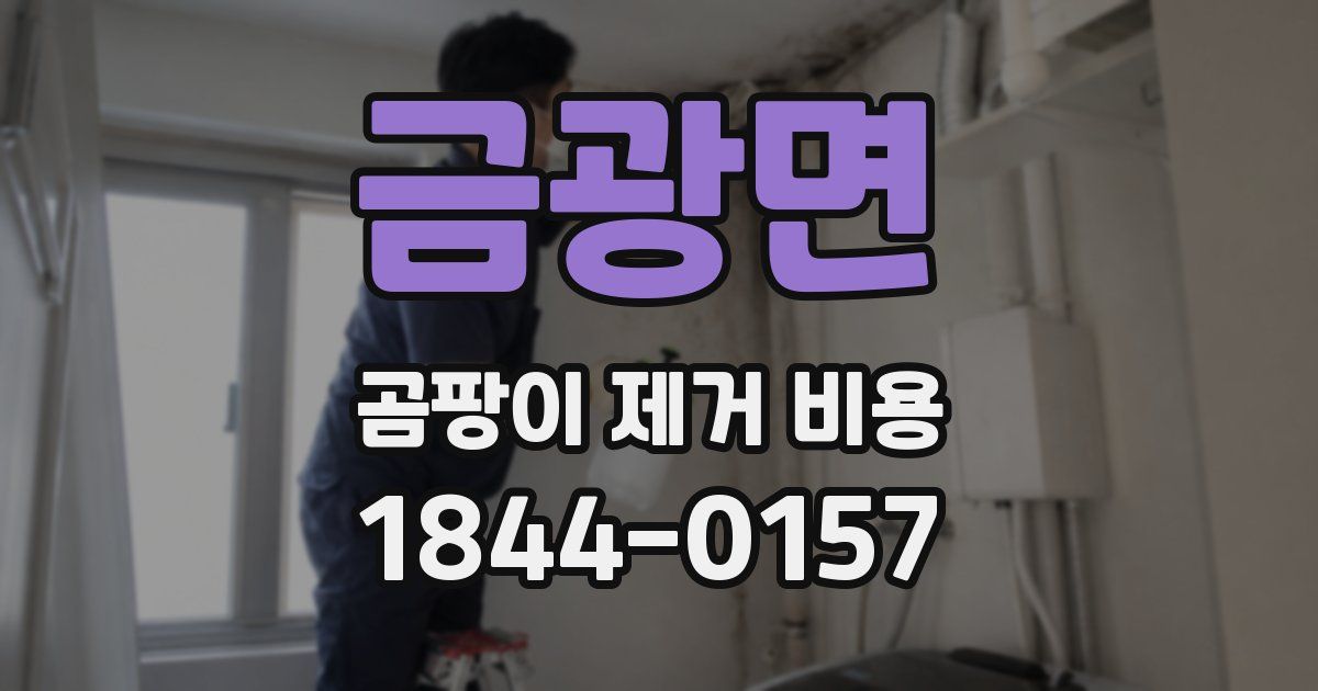금광면 곰팡이 제거 비용