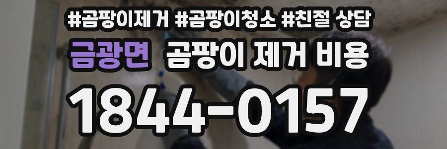 금광면 곰팡이 제거 비용