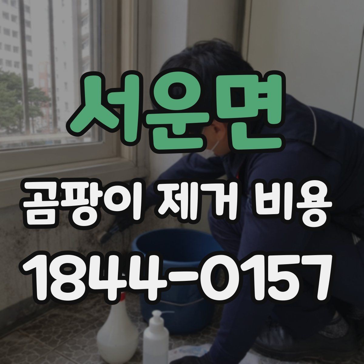 서운면 곰팡이 제거 비용 깔끔하게 정리하려면 무엇을 봐야 할까