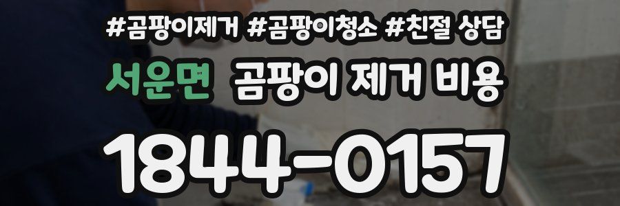 서운면 곰팡이 제거 비용